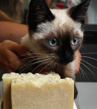 Load image into Gallery viewer, Pet&#39;s Shampoo Bar
